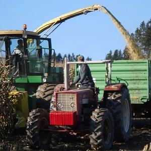 IHC 624AS & 8T Carl Wolf