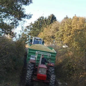 IHC 624AS & 8T Carl Wolf