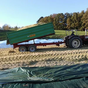 IHC 624AS mit 8t Carl Wolf