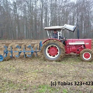 Tobias