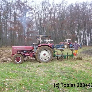 Tobias