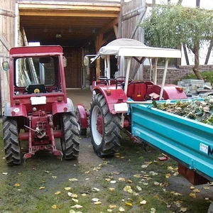 Matthias-IH353