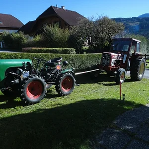 Benzinbruder