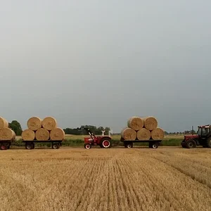 453,624,1056
