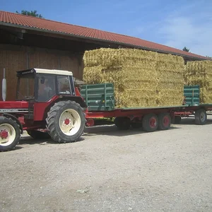 IHC 844 AS