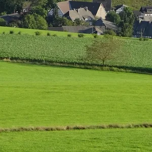 Jagdhochsitz umsetzen