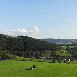 Jagdhochsitz umsetzen