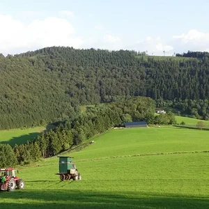 Jagdhochsitz umsetzen