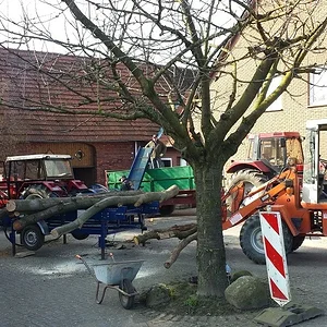 Holz 2014
