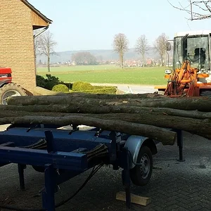 Holz 2014