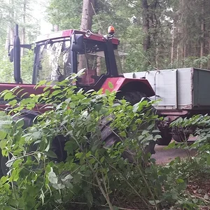 Holz 2014