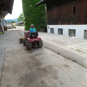 Schorsch