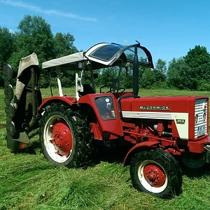 IHC 353
