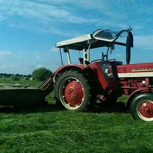 IHC 353