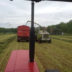 Gras Häckseln