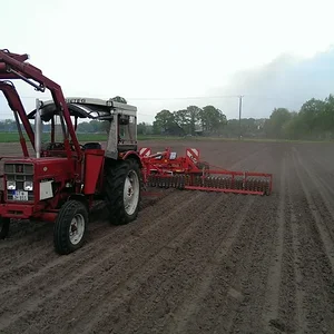 Markus D436