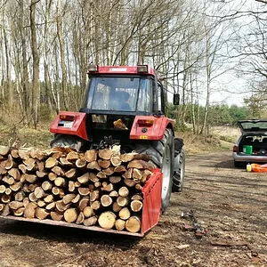 Brennholz gemacht