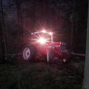 Mein "Liebster" im Forst