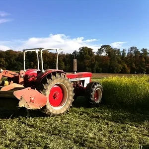 Uwe1246