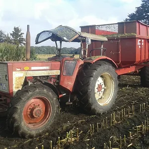 www.grvm.de