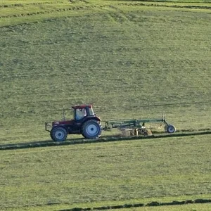 Letzter Schnitt am Burgberg