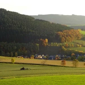 Letzter Schnitt am Burgberg