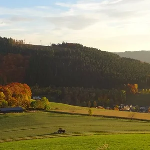 Letzter Schnitt am Burgberg