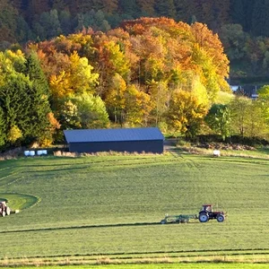 Letzter Schnitt am Burgberg