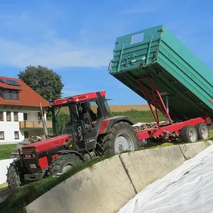 Mais häckseln 2013