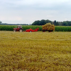 Strohernte 2013
