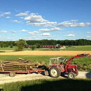Holztransport
