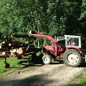 Holztransport