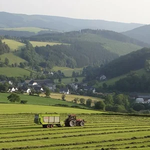 2. Schnitt beim Nachbarn