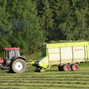 2. Schnitt beim Nachbarn