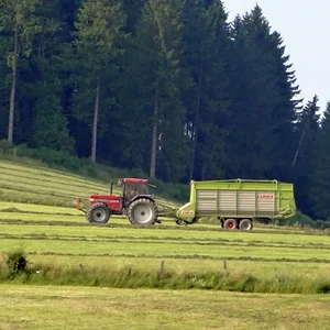 2. Schnitt beim Nachbarn