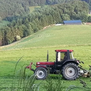 2. Schnitt beim Nachbarn