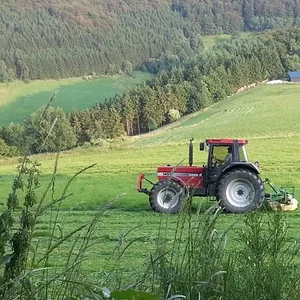 2. Schnitt beim Nachbarn