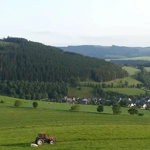 2. Schnitt beim Nachbarn