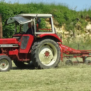 IHC 644