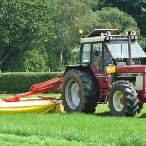 Mähen mit IHC 1055 + Pöttinger