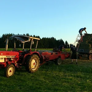 das komplette Gespann