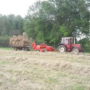 Heuernte 1. Schnitt 2013