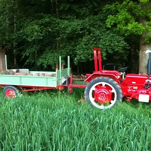 Ausfahrt in den Wald