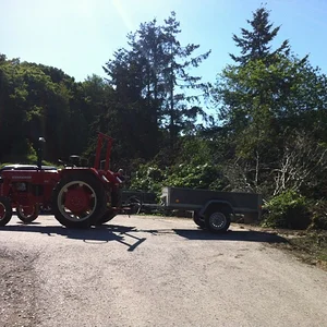 Grüngut