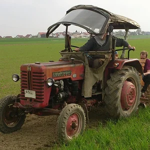 Kartoffeln setzen
