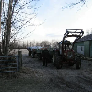 AG 323