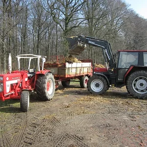 www.grvm.de.ms