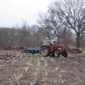 AG 323