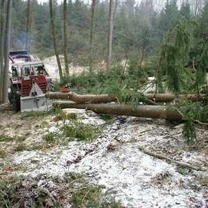 Waldeinsatz 2013