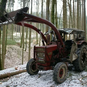 Holzeinsatz 2013